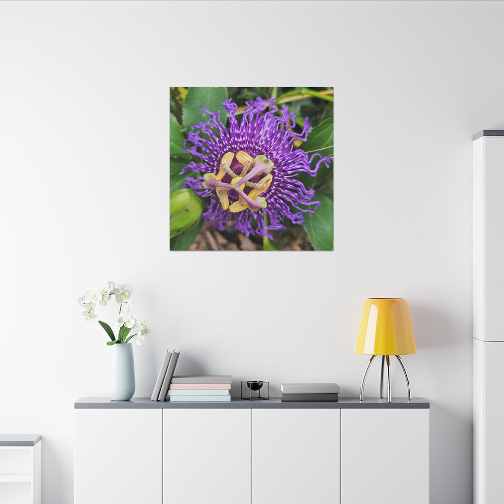 Purple Passionflower Botanical Canvas