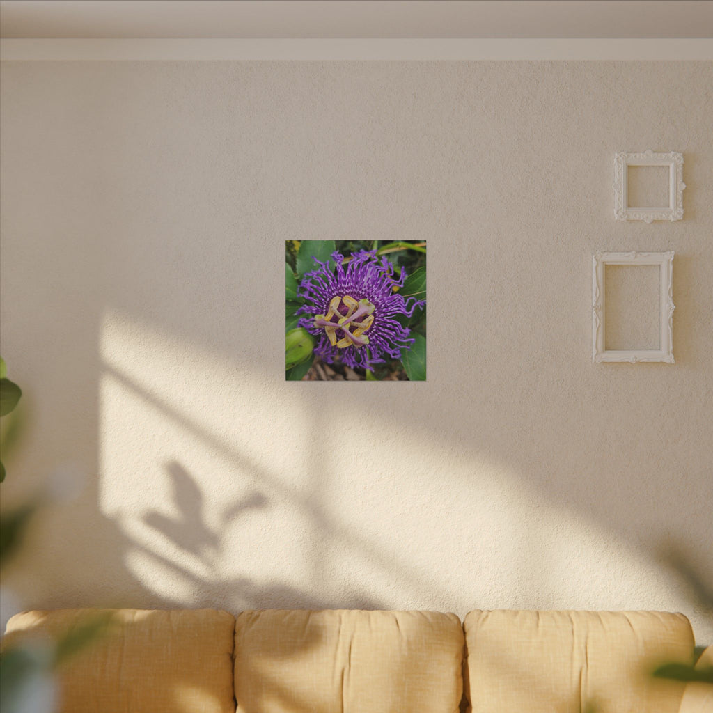 Purple Passionflower Botanical Canvas
