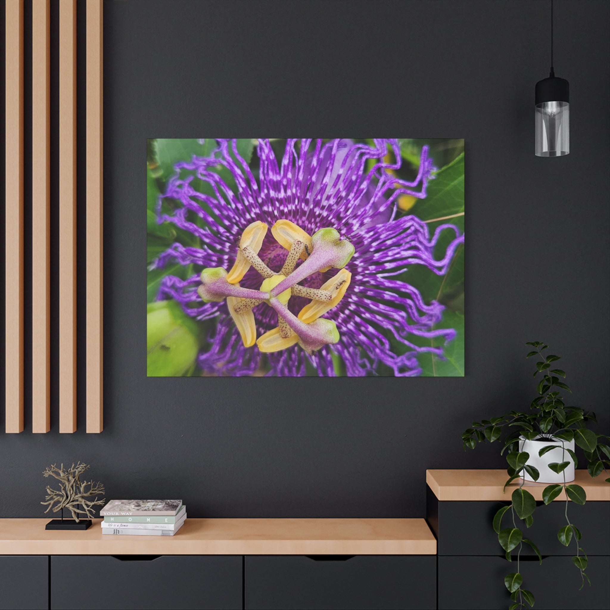 Purple Passionflower Close-Up Matte Canvas Print (Stretched)