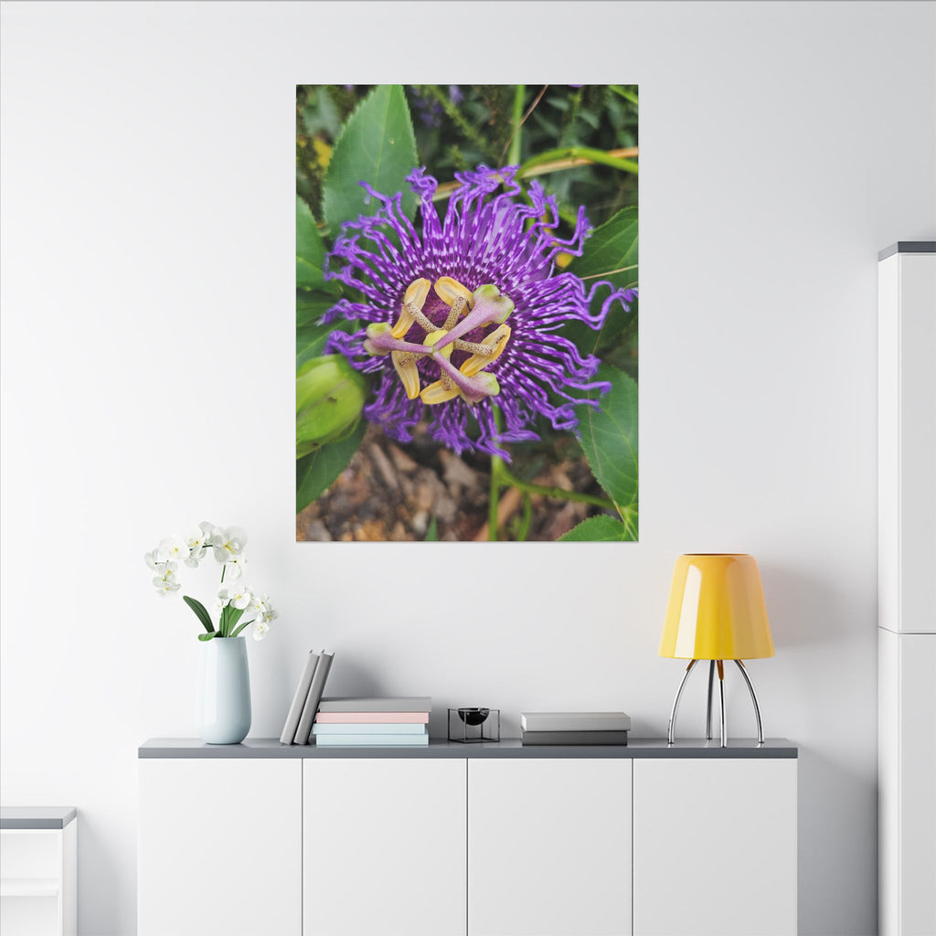 Purple Passionflower Botanical Canvas