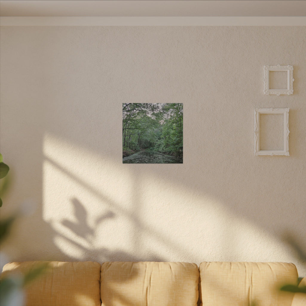 Mossy Pond Canvas Matte Stretched Wall Art