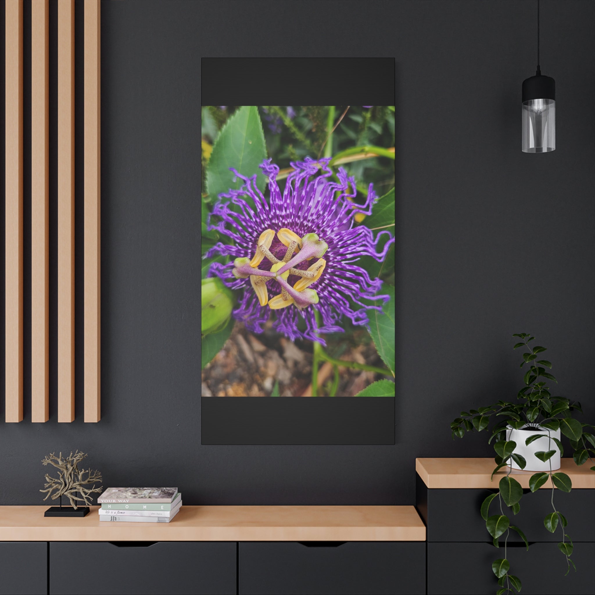 Purple Passionflower Close-Up Matte Canvas Print (Stretched)