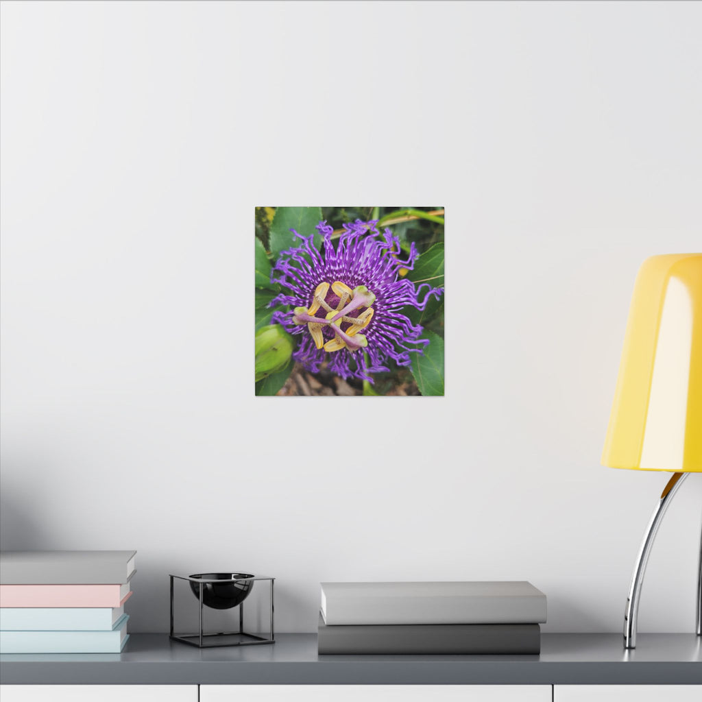 Purple Passionflower Botanical Canvas