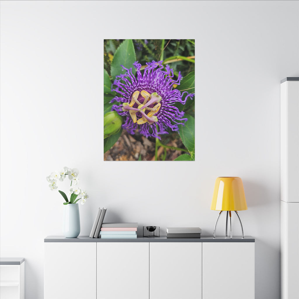 Purple Passionflower Botanical Canvas