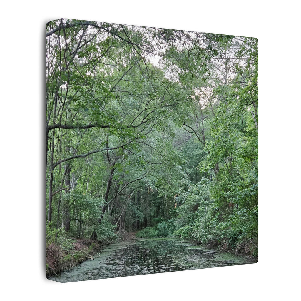 Mossy Pond Canvas Matte Stretched Wall Art