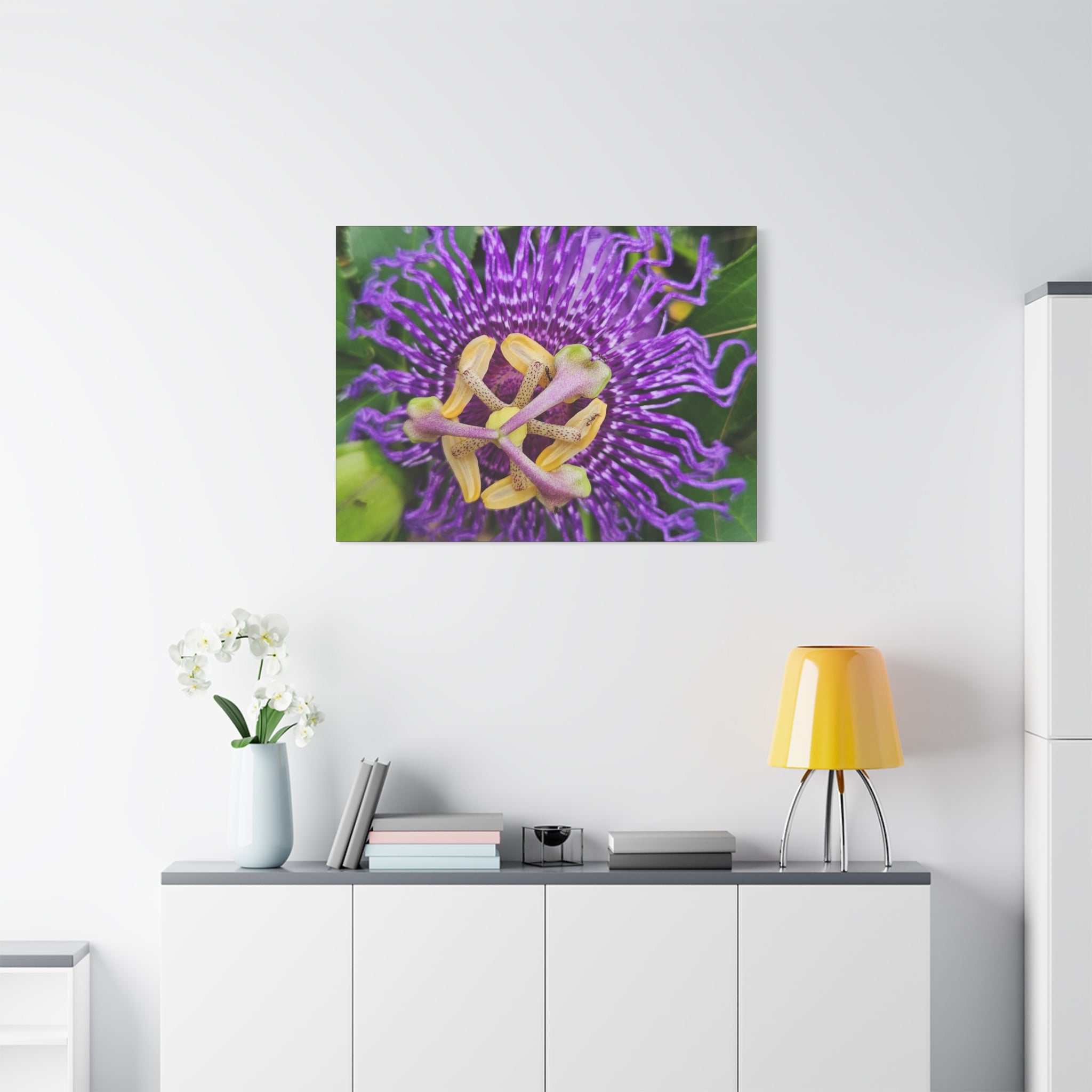 Purple Passionflower Close-Up Matte Canvas Print (Stretched)