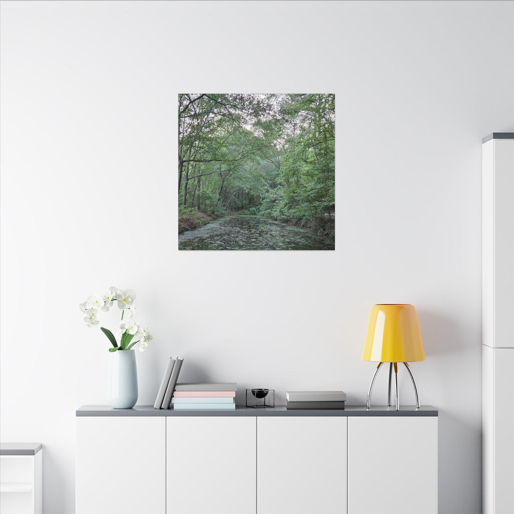 Mossy Pond Canvas Matte Stretched Wall Art