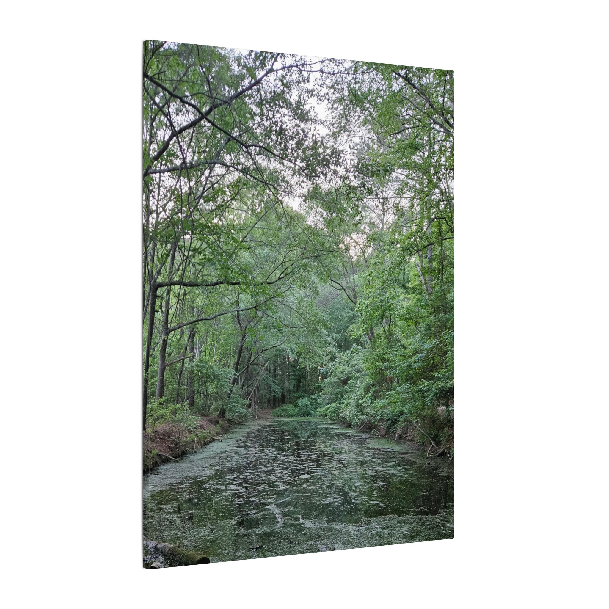 Mossy Pond Canvas Matte Stretched Wall Art