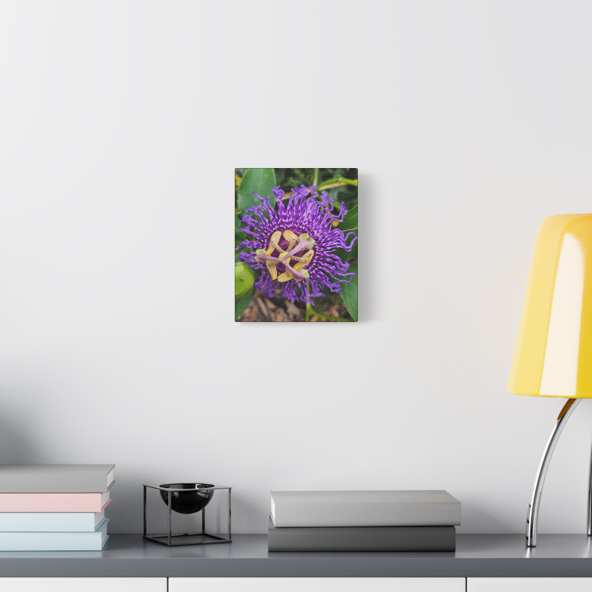 Purple Passionflower Close-Up Matte Canvas Print (Stretched)