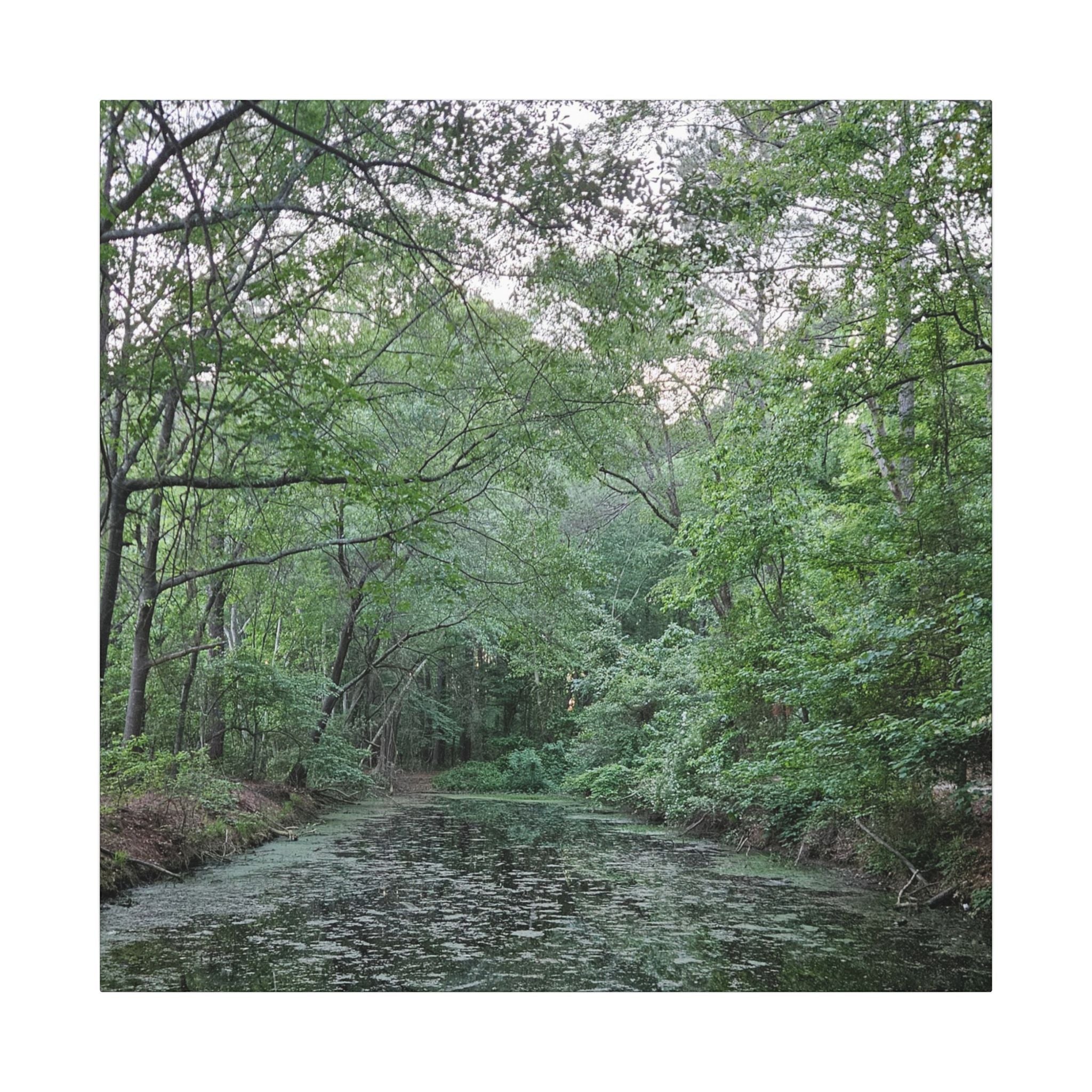 Mossy Pond Canvas Matte Stretched Wall Art