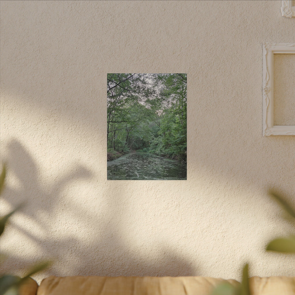 Mossy Pond Canvas Matte Stretched Wall Art