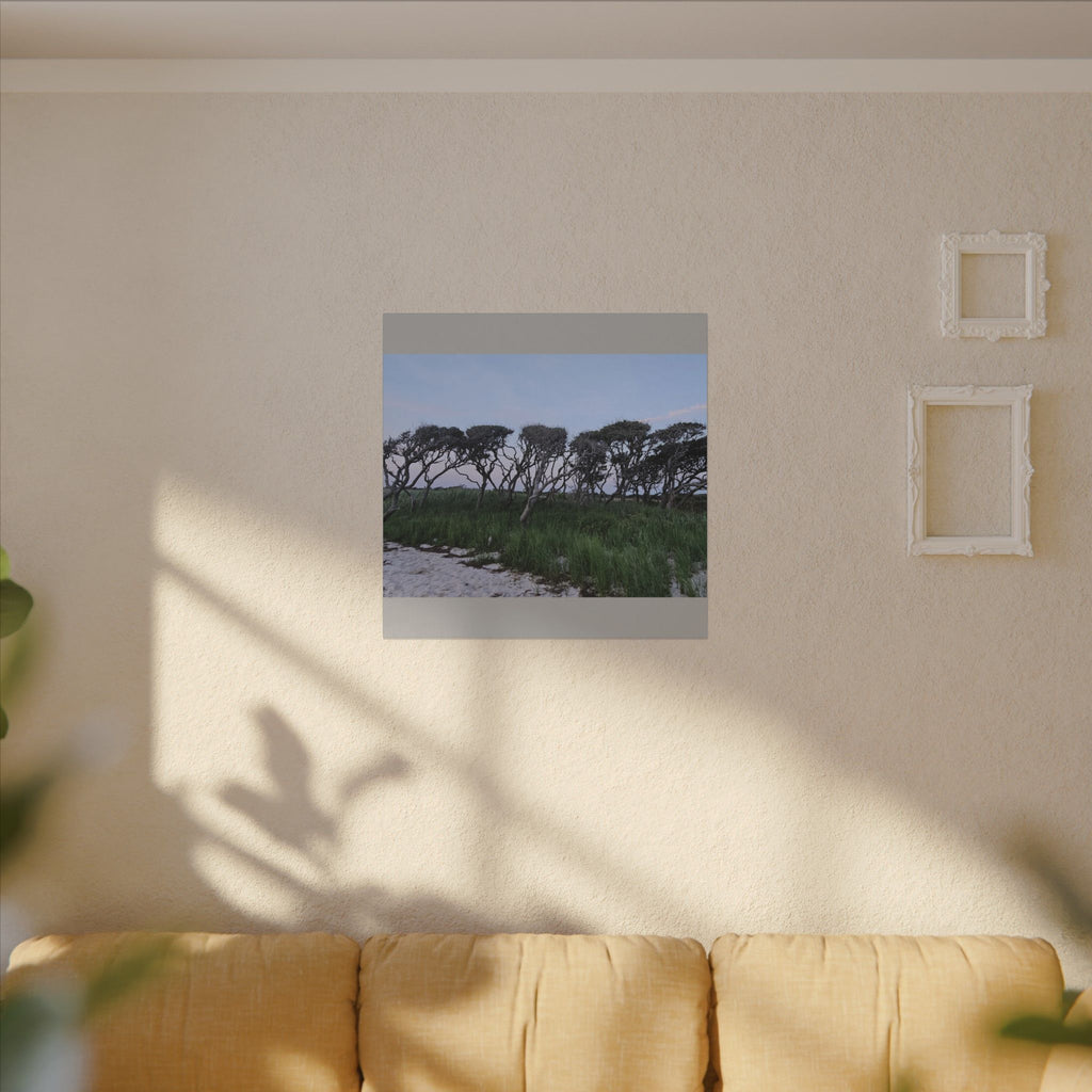 Coastal Windblown Trees Canvas