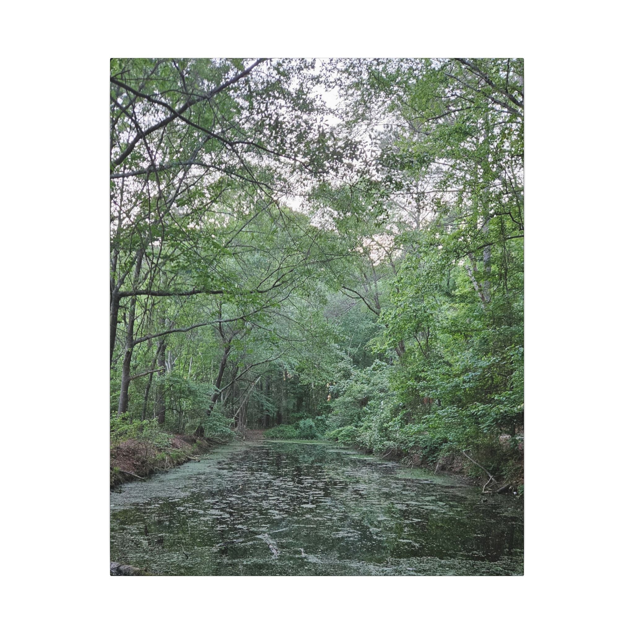 Mossy Pond Canvas Matte Stretched Wall Art