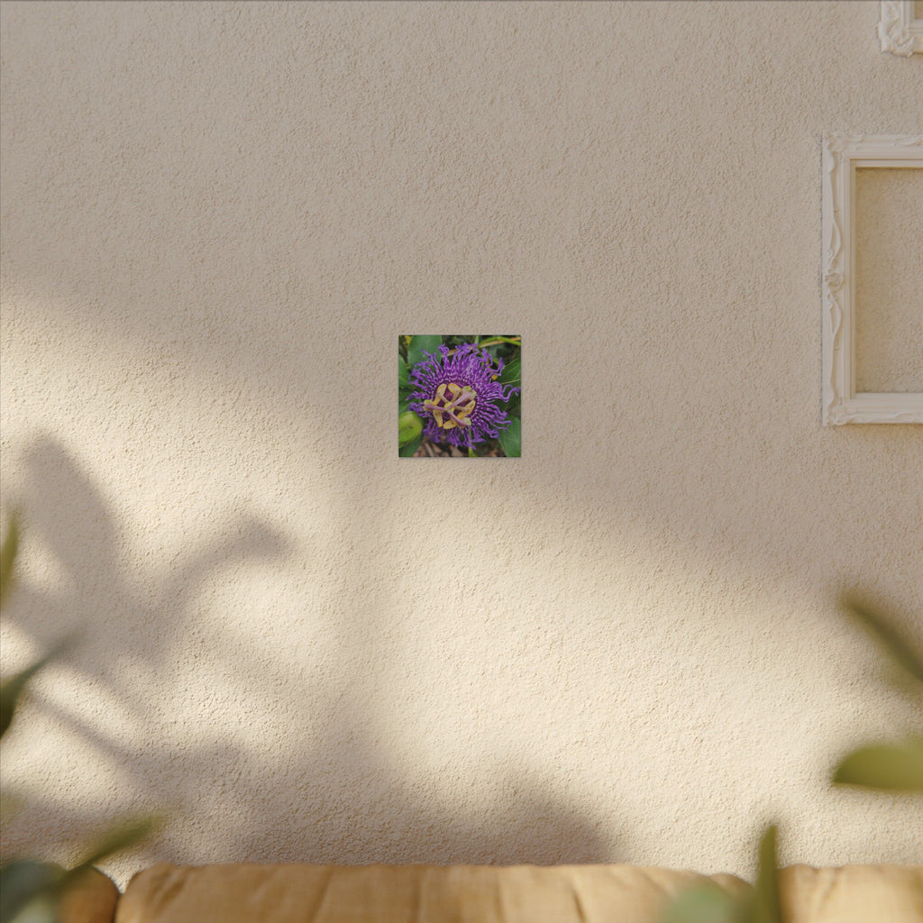 Purple Passionflower Botanical Canvas