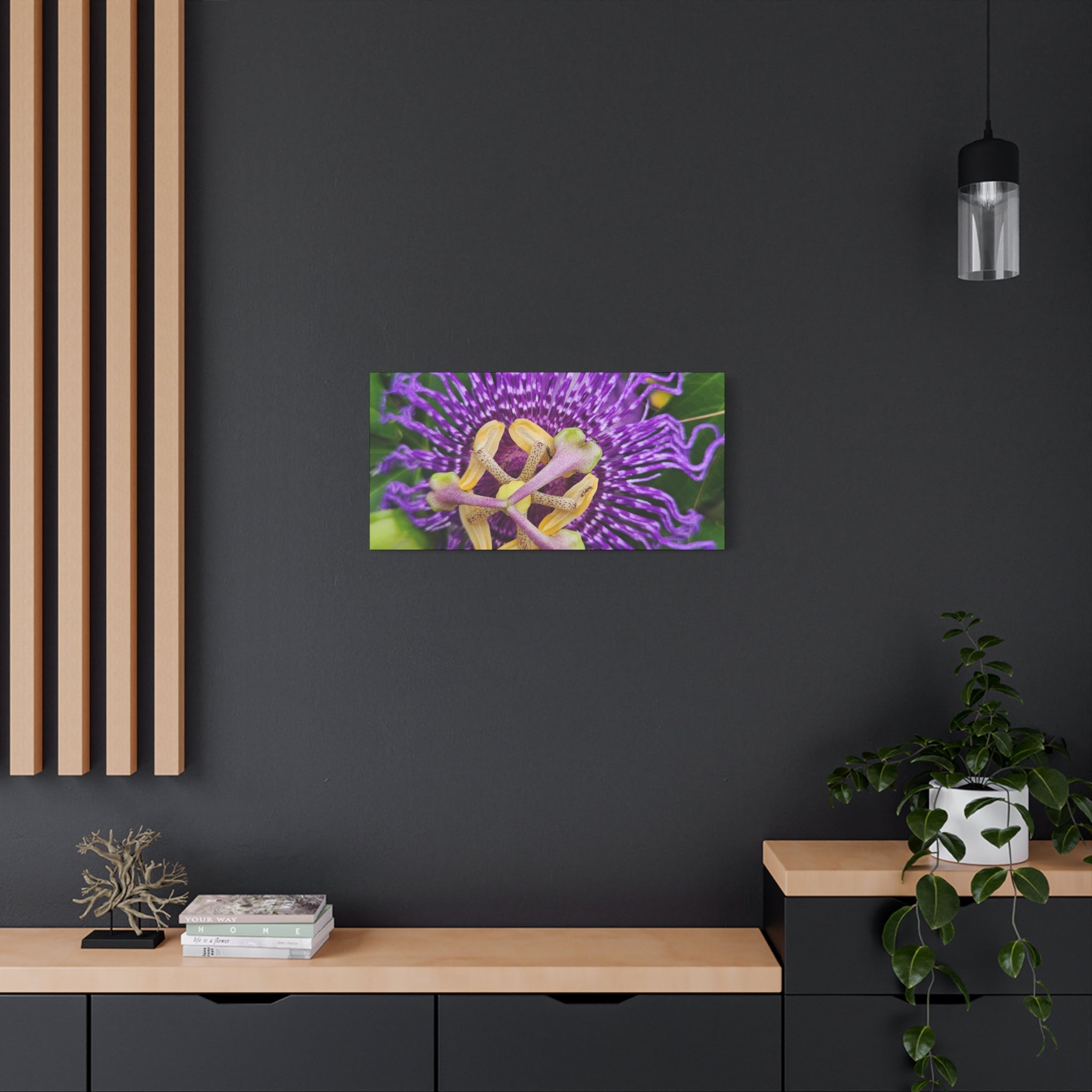 Purple Passionflower Close-Up Matte Canvas Print (Stretched)