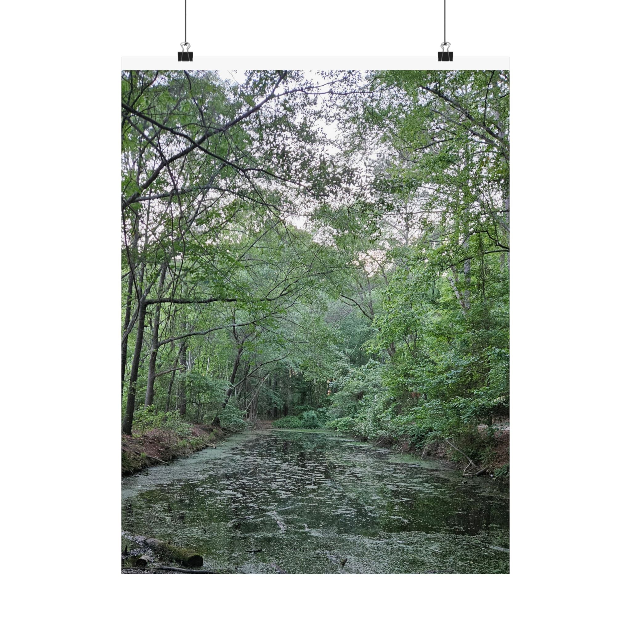 Mossy Pond Matte Poster | Vertical Nature Wall Art