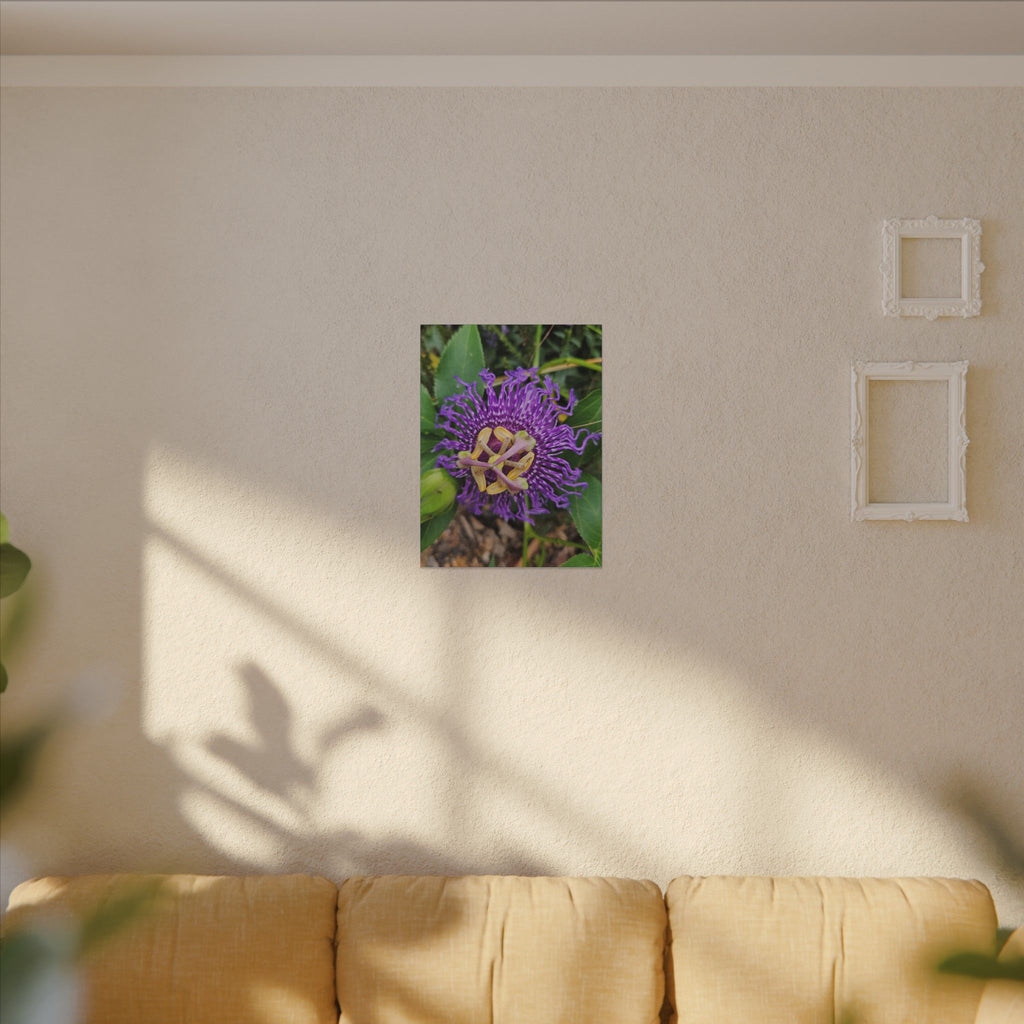 Purple Passionflower Botanical Canvas